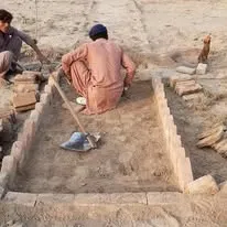 Green Seekers Activity